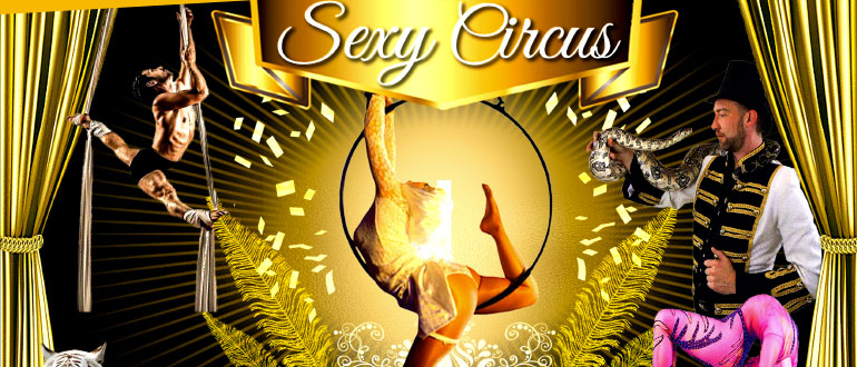 Soirée Sexy Circus
